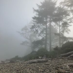 Meet your Posher, Mel